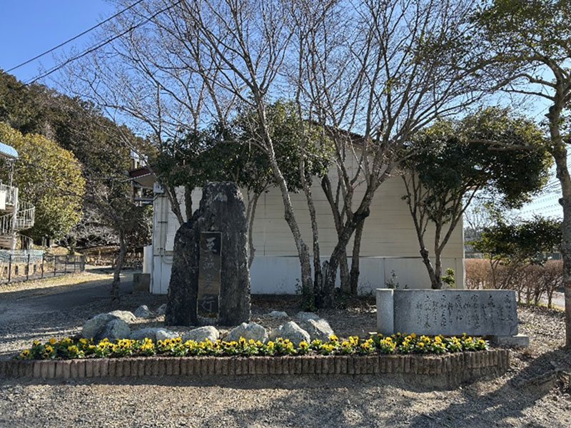 活動報告